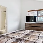 Pines 4043