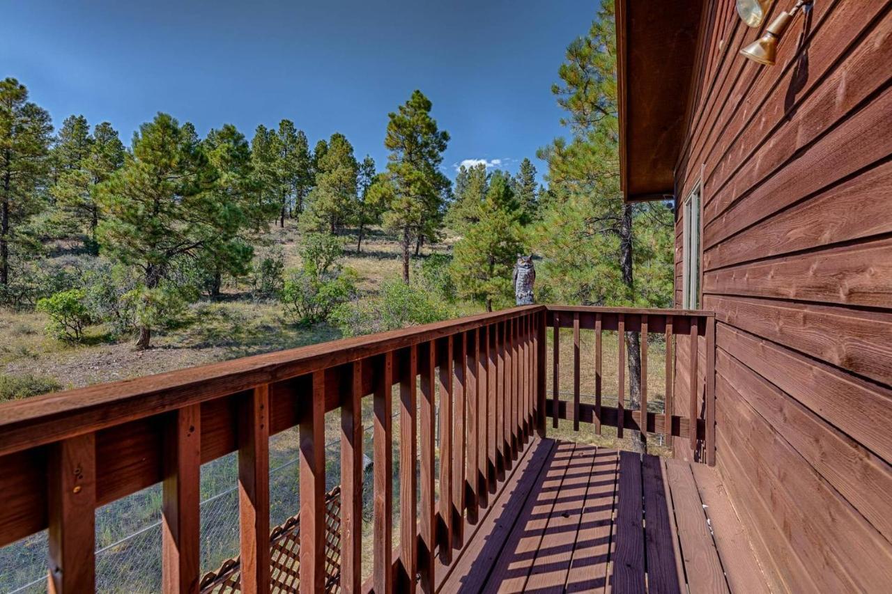 493 Stevens Circle Casa de férias Pagosa Springs