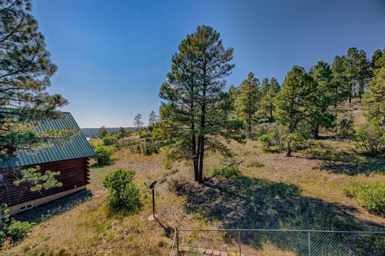 493 Stevens Circle