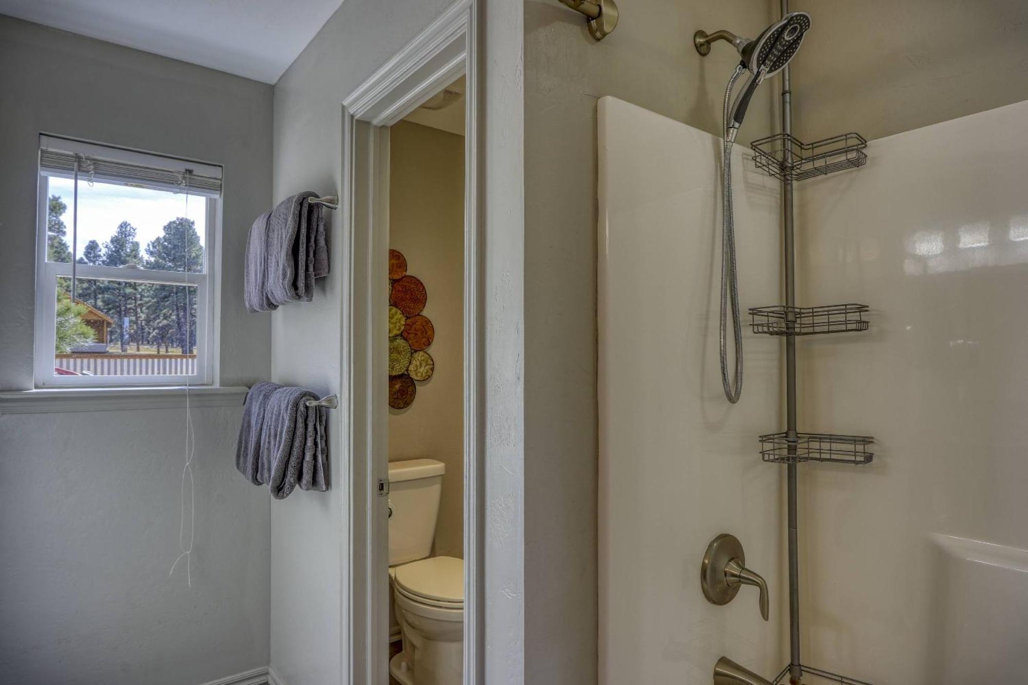 237 Steamboat Dr * Pagosa Springs