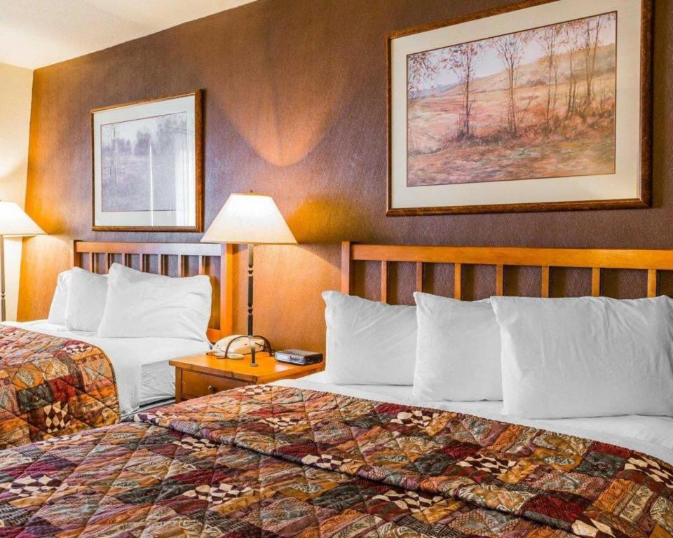 Quality Hotel
